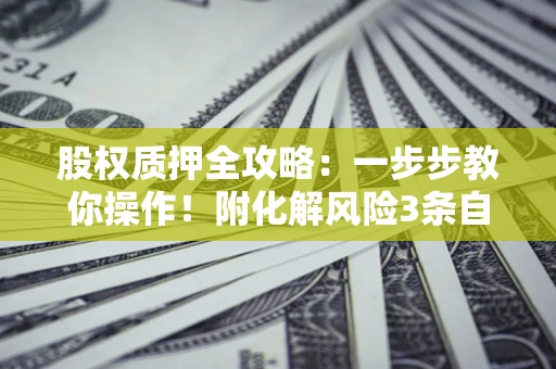 武汉股权质押全攻略：一步步教你操作！附化解风险3条自救法则