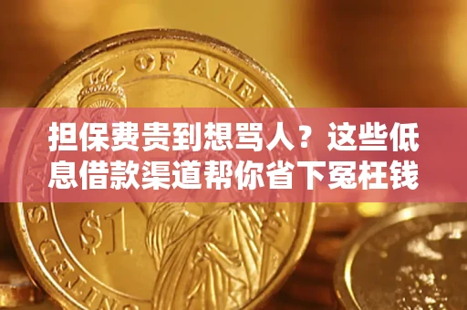 武汉担保费贵到想骂人？这些低息借款渠道帮你省下冤枉钱