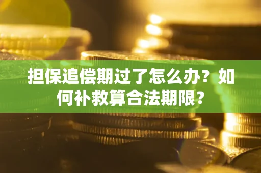 武汉担保追偿期过了怎么办？如何补救算合法期限？