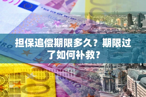 武汉担保追偿期限多久？期限过了如何补救？