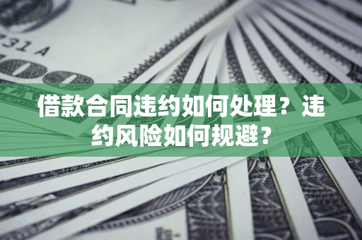 武汉借款合同违约如何处理？违约风险如何规避？