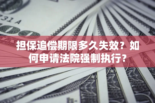 武汉担保追偿期限多久失效？如何申请法院强制执行？