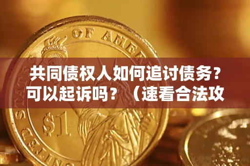 武汉共同债权人如何追讨债务？可以起诉吗？（速看合法攻略）