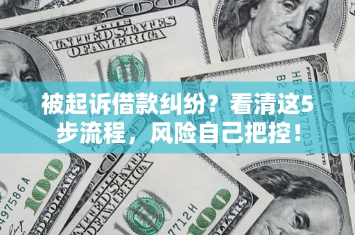 武汉被起诉借款纠纷？看清这5步流程，风险自己把控！
