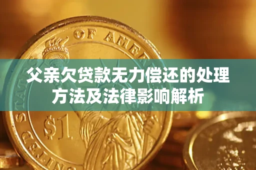 武汉父亲欠贷款无力偿还的处理方法及法律影响解析
